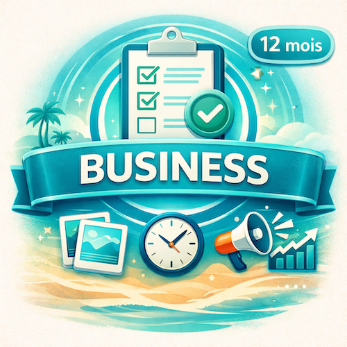 abonnement business un an annonce boostée
