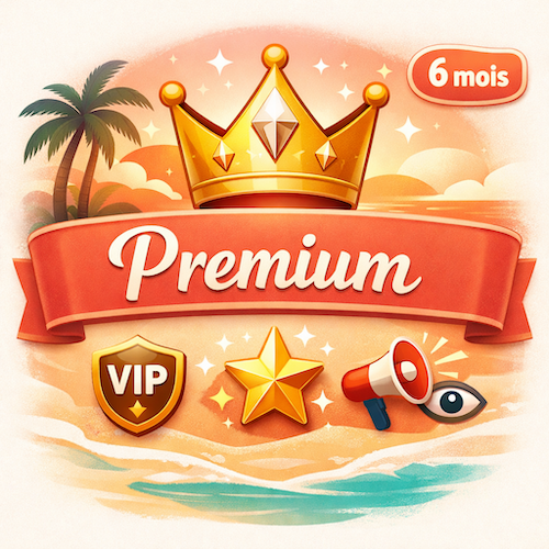 abonnement premium annonces bosstées six mois