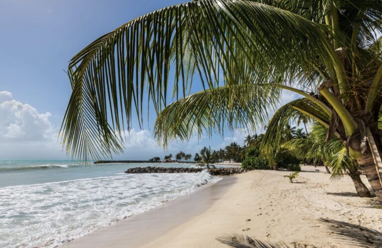 immobilier guadeloupe